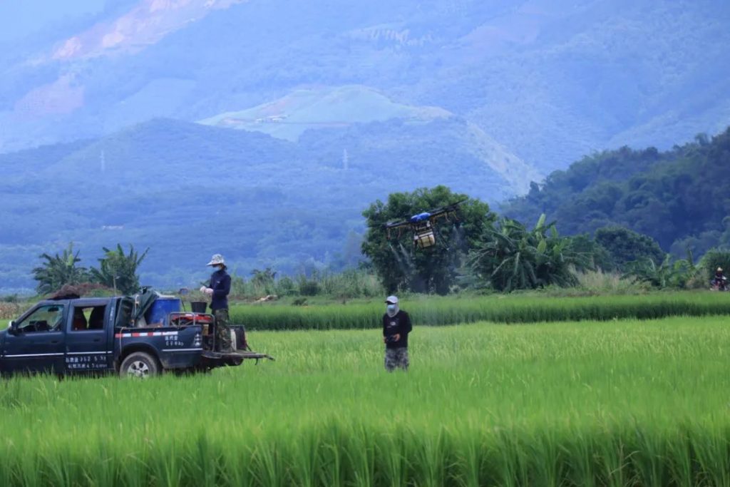 Agriculture Drones help farmers prevent and control rice pest and disease effectively - News - 1